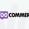 Κατασκευή B2B eshop με WooCommerce